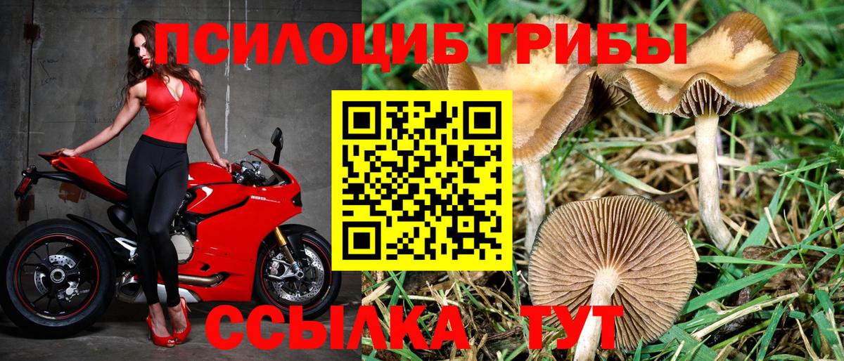 Галлюциногенные грибы Magic Shrooms  Вход с VPN  Тула 